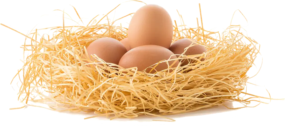 Skladování Vajec