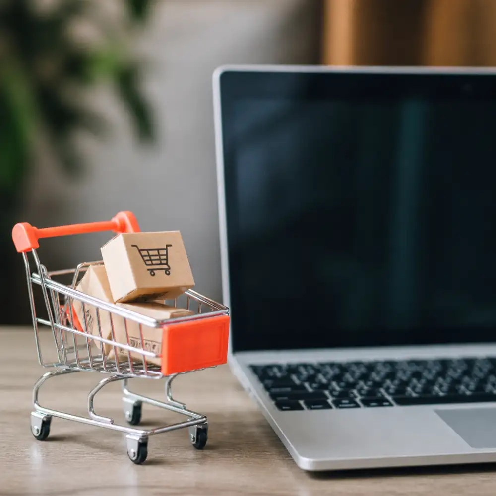 Woocommerce Eshop